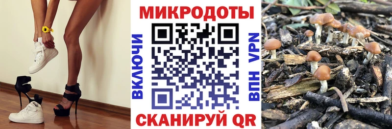 Псилоцибиновые грибы мухоморы  дарнет шоп  Нововоронеж 