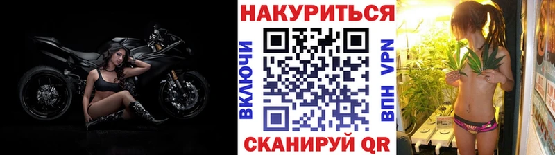как найти закладки  Нововоронеж  Конопля планчик 